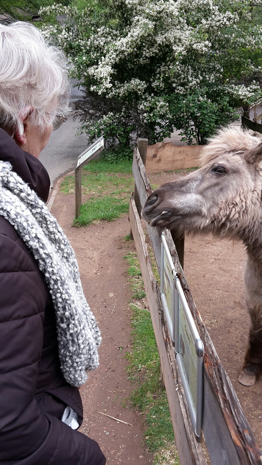 Bewohnertage im Seniorenzentrum St. Andreas – Besuch im Neunkircher Zoo